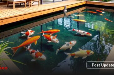 artike koi pinf