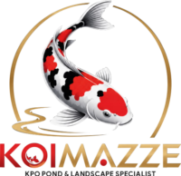 koimas
