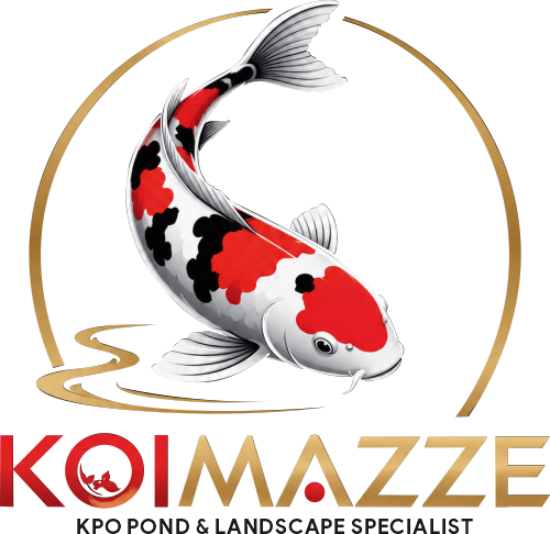 Koi Mazze